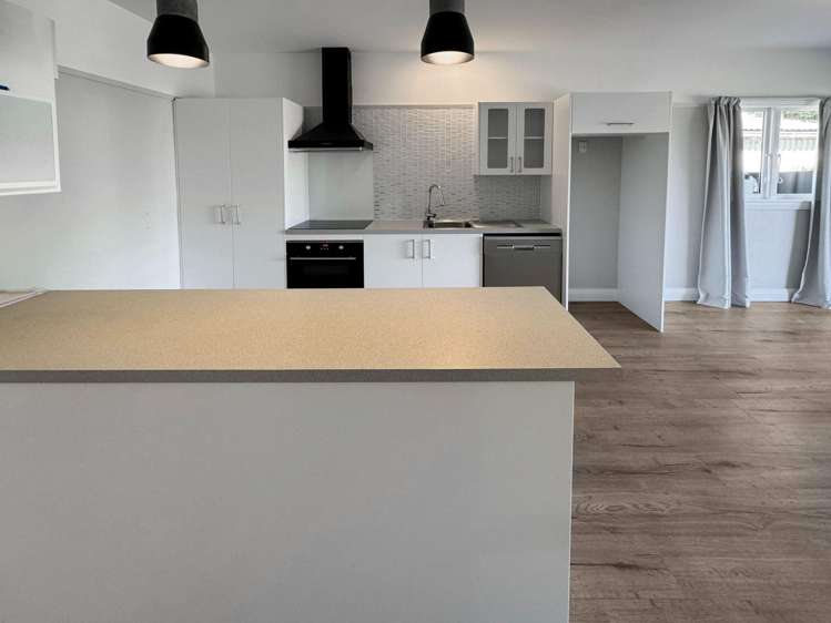 48 Medway St Richmond_3