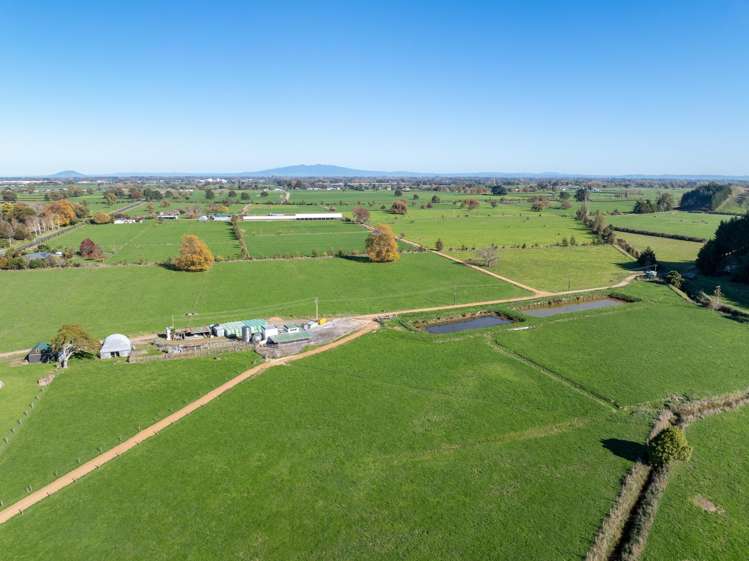 133 Flume Road Te Miro_22