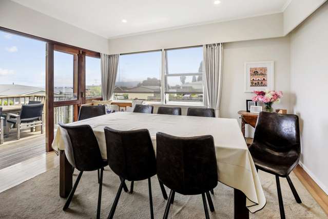 117 McNair Road Te Awamutu_4