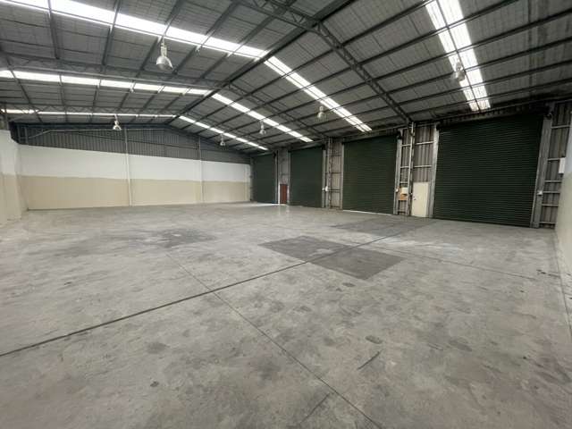 834 Jones Road Rolleston_3