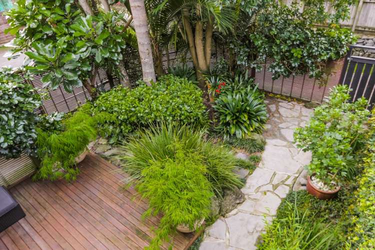 1/69a Landscape Road Mount Eden_5