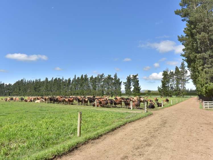 64 Lake Sumner Road Hawarden_7