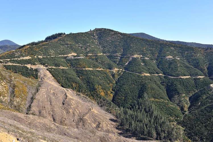 465 Tumbledown Bay Road Port Underwood_14