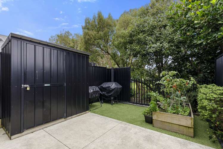 13 Te Ara O Paetutu Petone_17