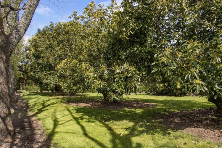 19 Henry Road Katikati_21