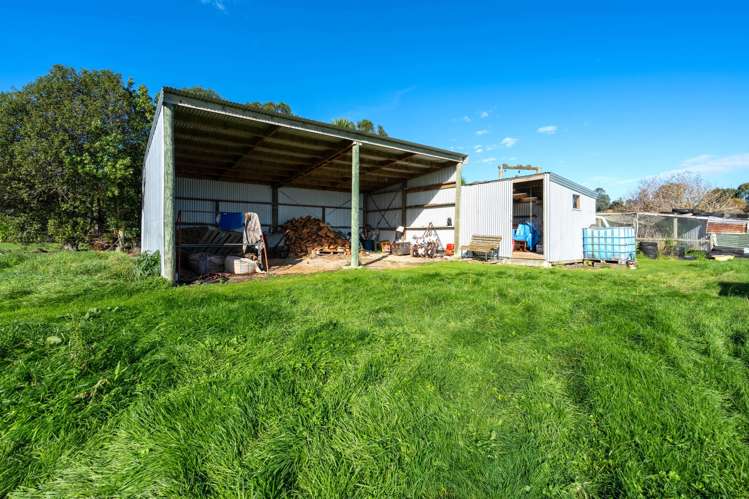 112 Green Island Bush Road Blackhead_29
