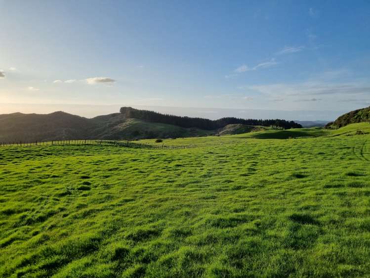 165 Kereru Road Glen Massey_5