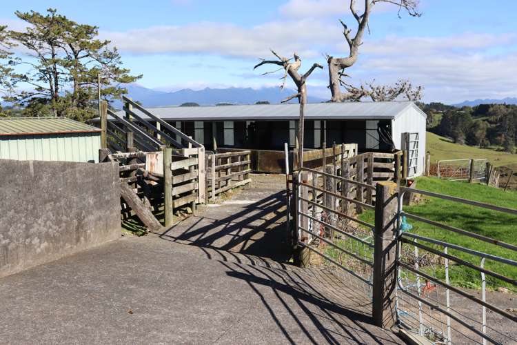344 Hursthouse Road Inglewood_8