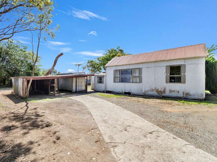 41 Gloag Street Waverley_24