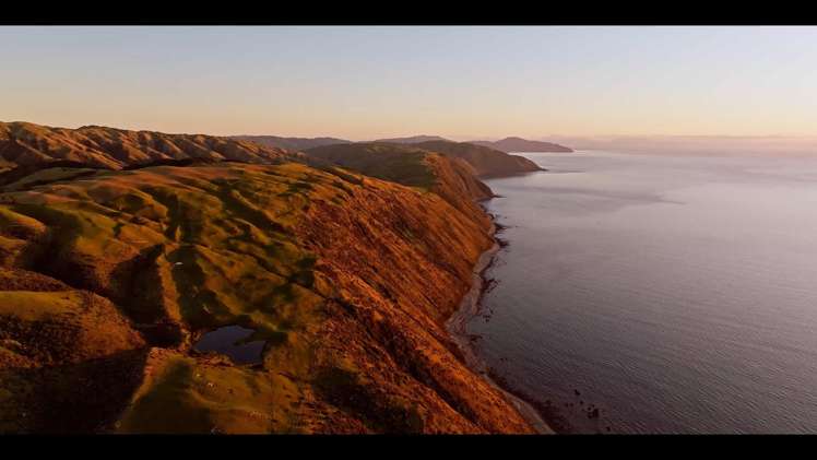 Pikarere Farm Porirua_17