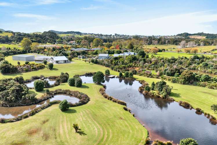 2008D Cove Road Mangawhai_29