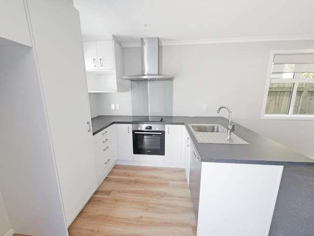 B/63 Lincoln Avenue 1269_1