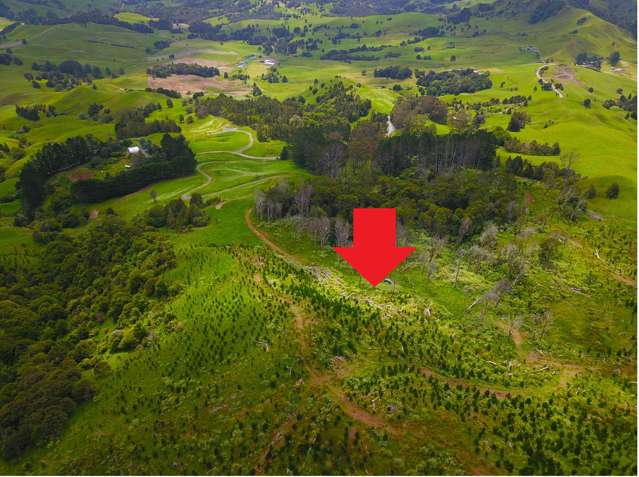 Lot 0 Te Rore Road Kaitaia_1