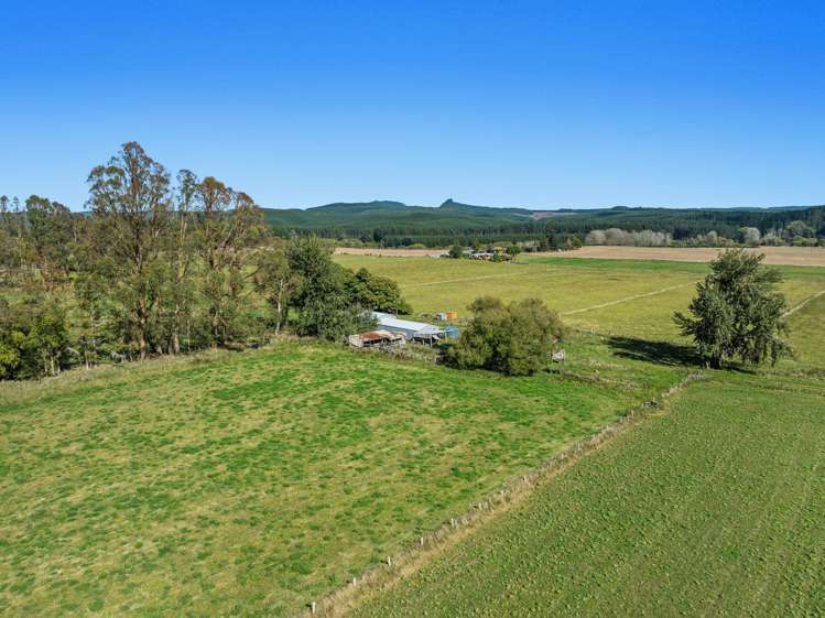 1072 Main Road Murupara_23