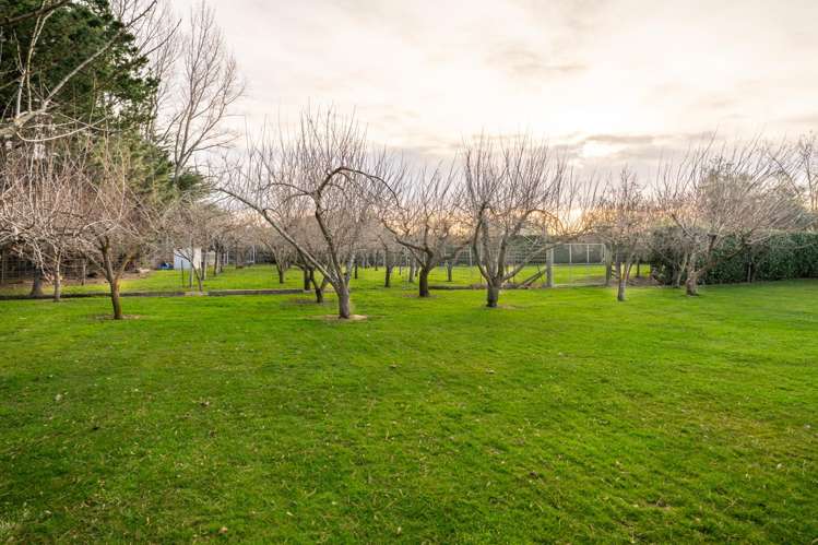 6 Greig Street Pleasant Point_44