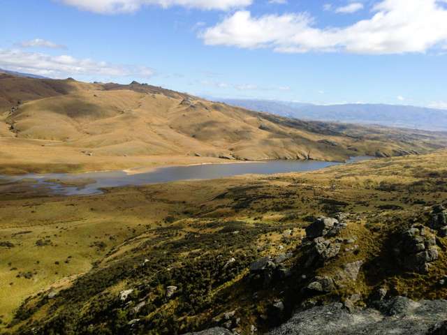 1109 Little Valley Road Alexandra_4