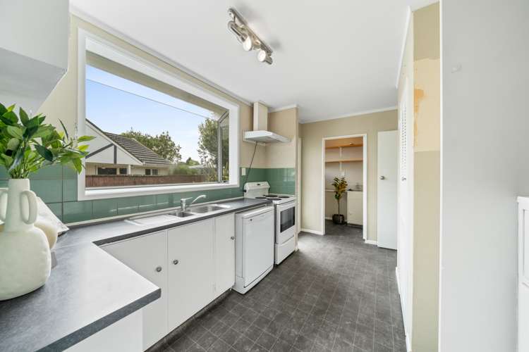 11 Akron Grove Totara Park_5