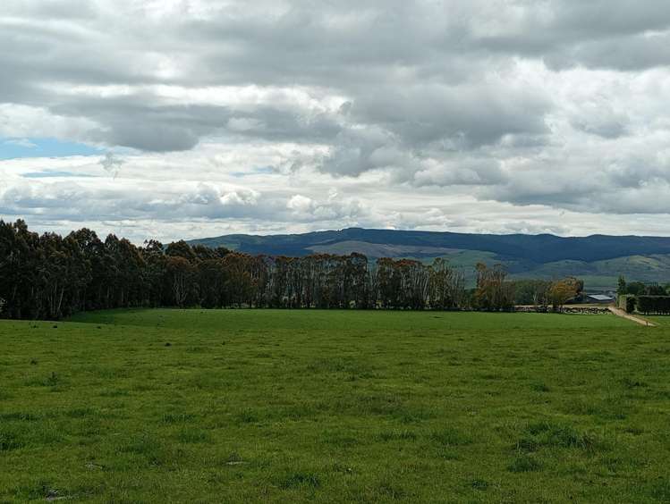 55 Otahu-Eastern Bush Road Eastern Bush_13