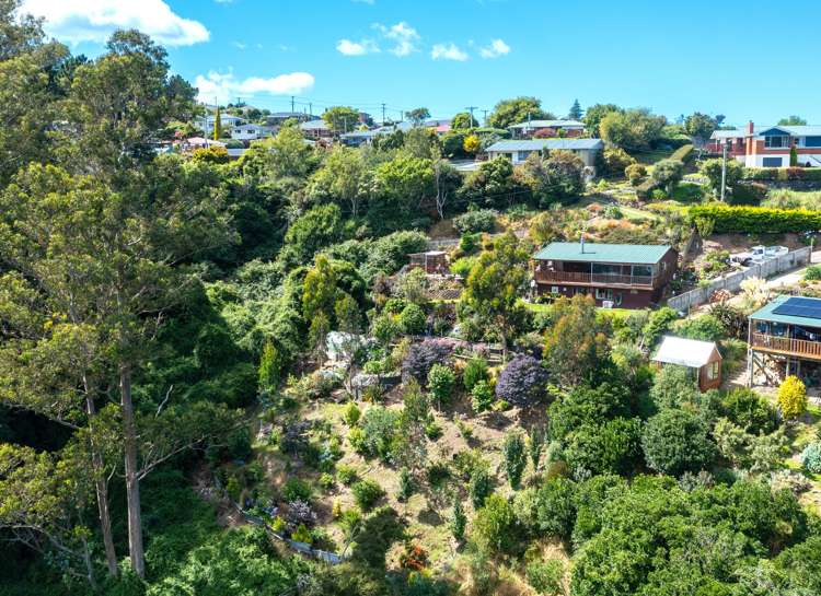 97 Hillary Street Liberton_26