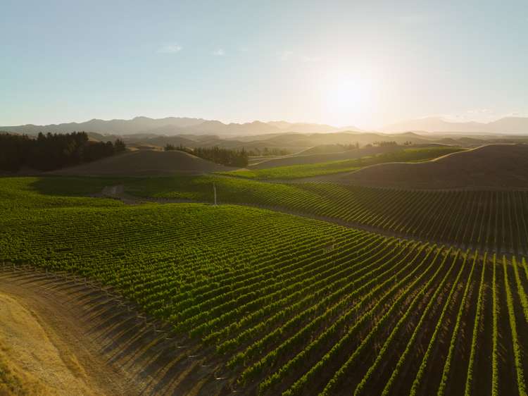 217 Caseys Road Seddon_9