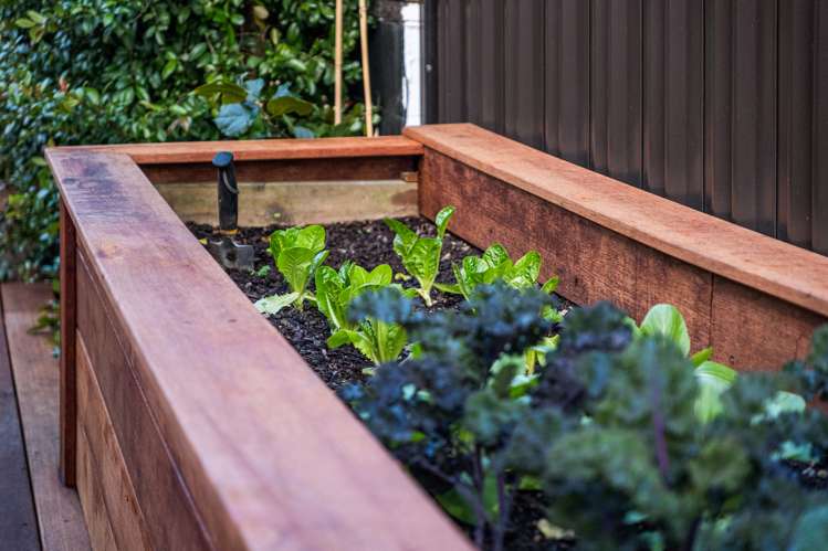 4 Humariri Street Point Chevalier_9