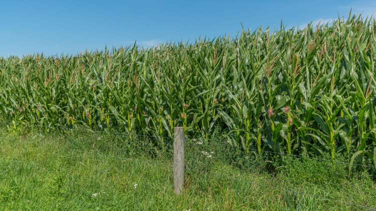 1051 Carleton Road Oxford_19