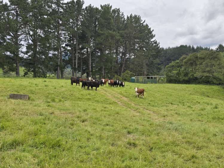 Lot 7 Turakina Valley Road Hunterville_8