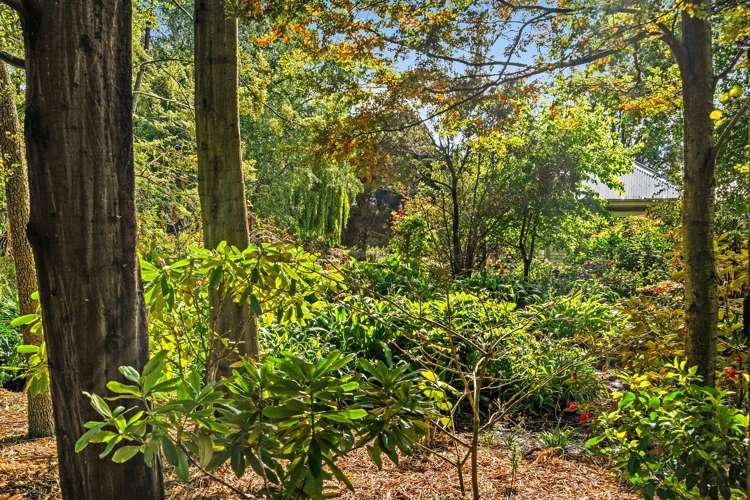 1110 Ashley Gorge Road Glentui_26