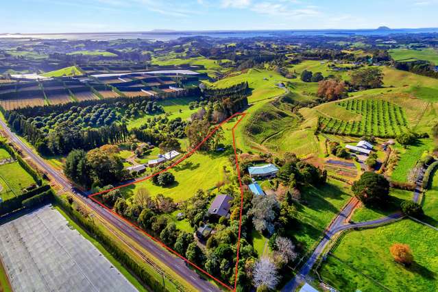 399 Wainui South Road Whakamarama_1