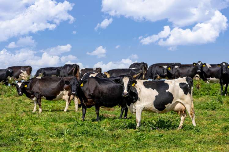 18 Hodgson Road Te Pahu_6