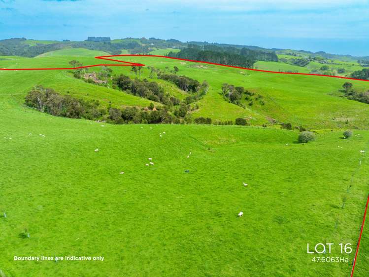 Lots 15 and 16, 36 Munros Road Clevedon_5