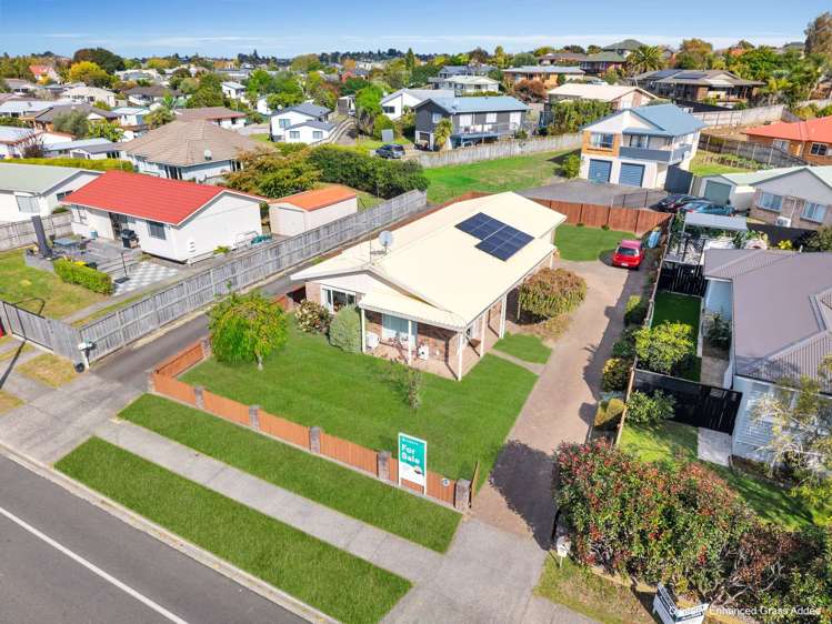 115 Dominion Road Nawton_11