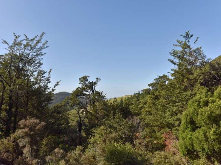 446 Glentui Bush Road Glentui_22