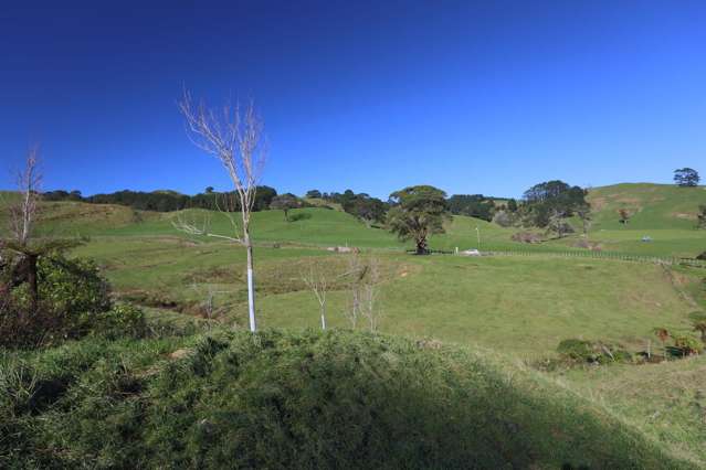 263a Ngatitangata Road Waihi_4