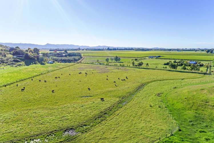 Lot 2 Repongaere Road Patutahi_16