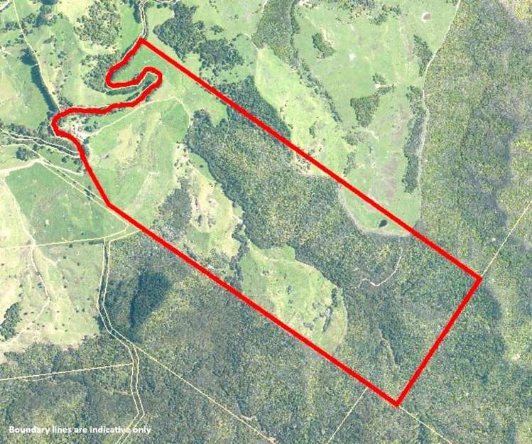 133 Te Ranga Road Kaeo_5