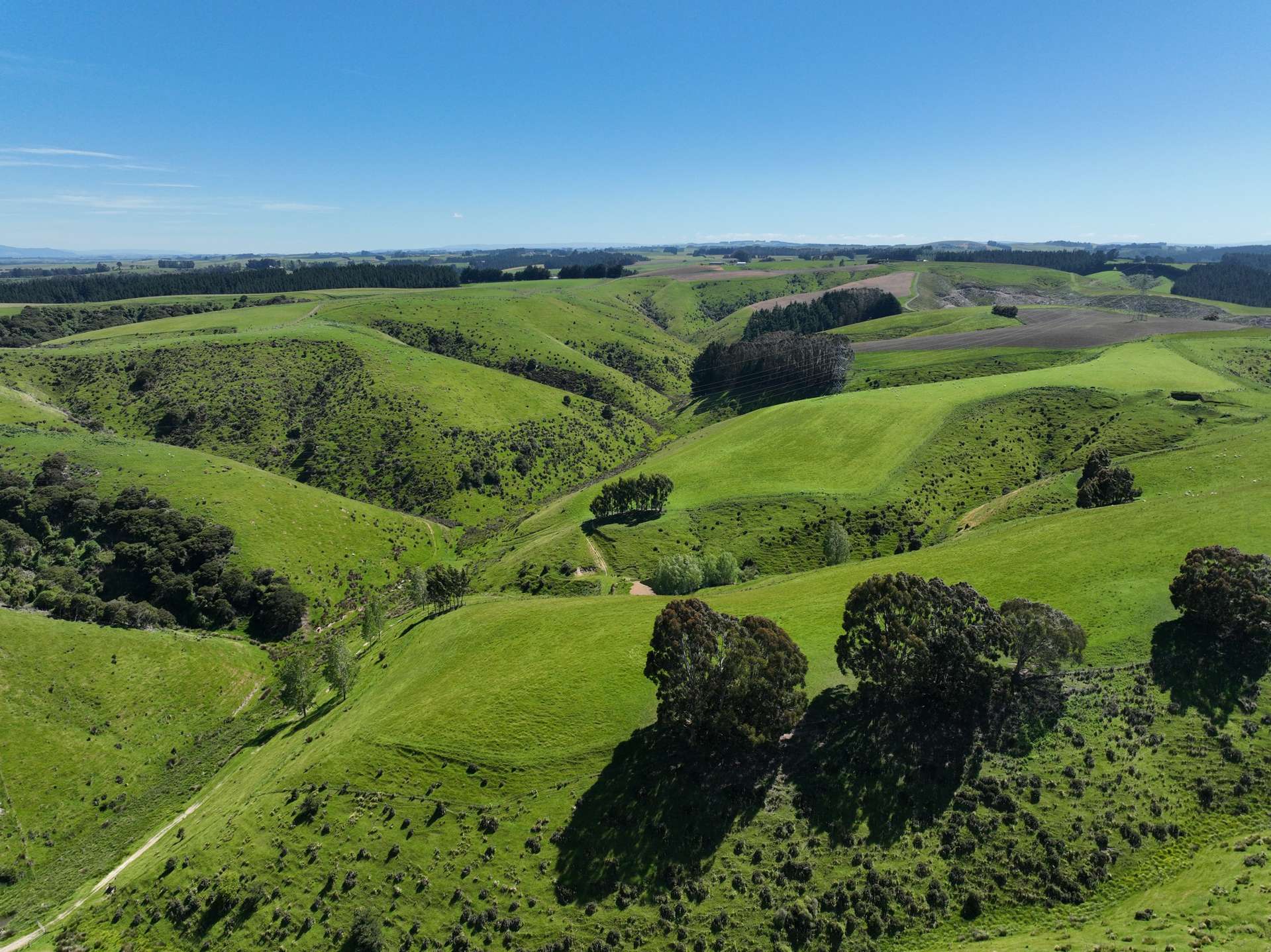 192 Clutha Valley Road Balclutha_0