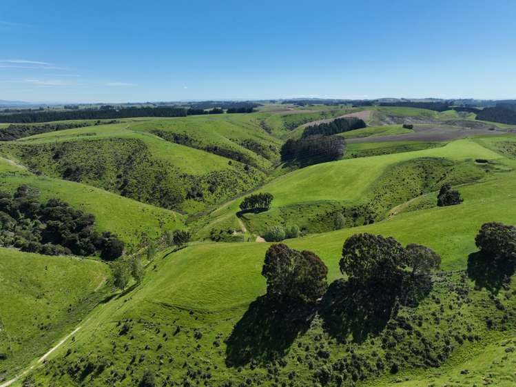 Cameron Road Tapanui_8