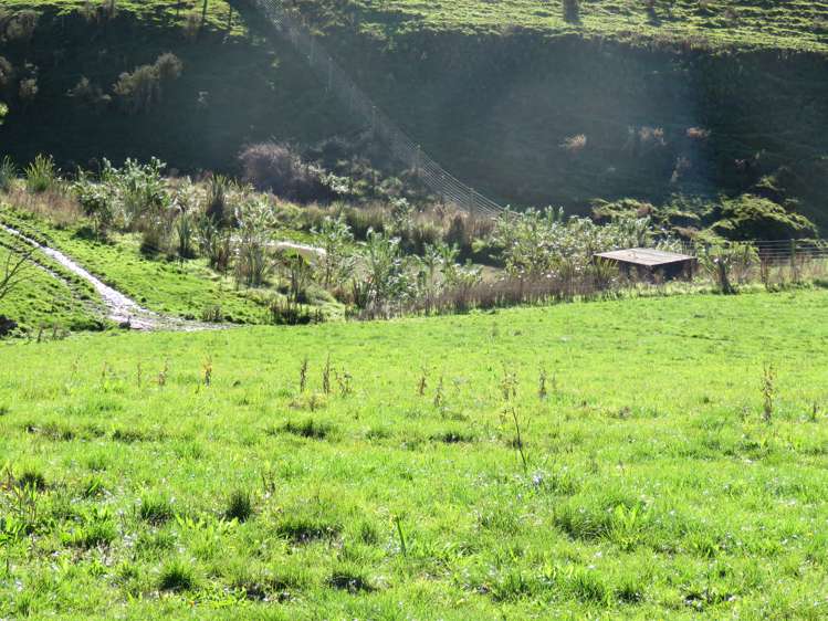 60 Woodside Road Geraldine_9