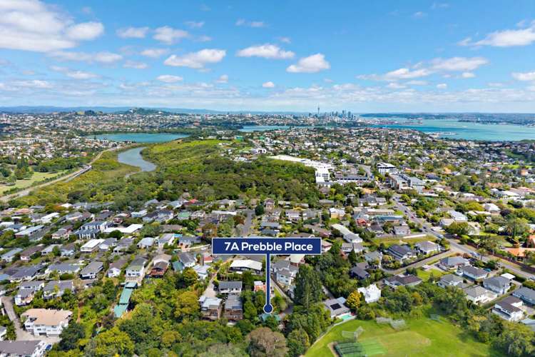 7A Prebble Place Mission Bay_11