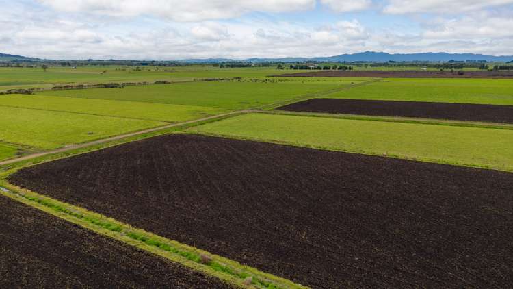 220 Valintine Road Gordonton_20