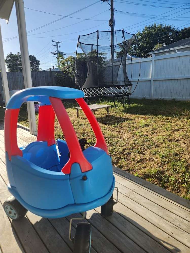 39 Fourth Avenue Kingsland_9