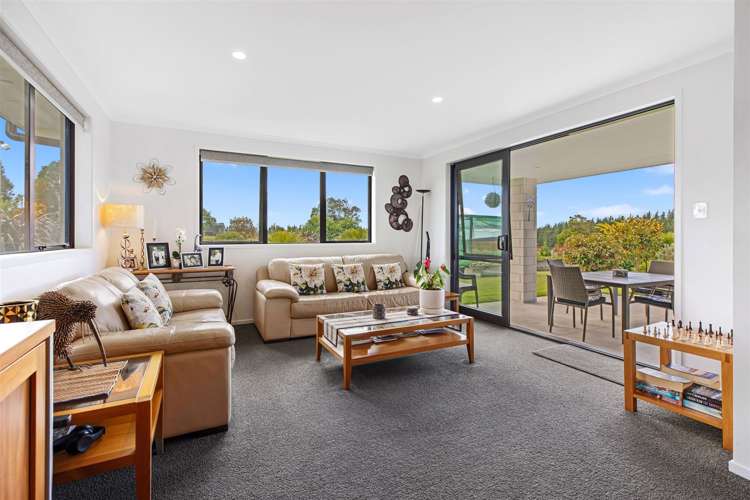 2001 Te Matai Road Kaimai_12