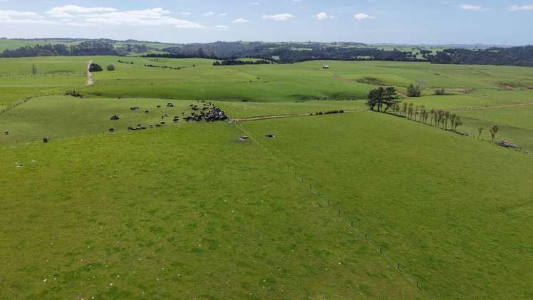 518 Mangakaretu Road Kerikeri_34