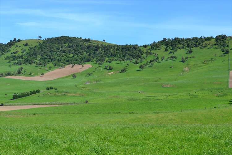 2000 Hillfoot Road Catlins Surrounds_10