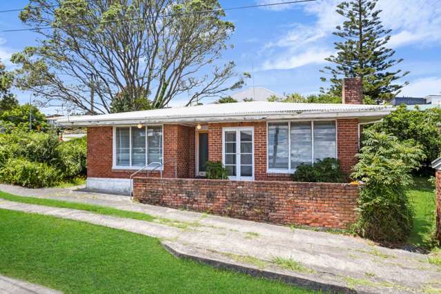 75 Awaroa Road Sunnyvale_2