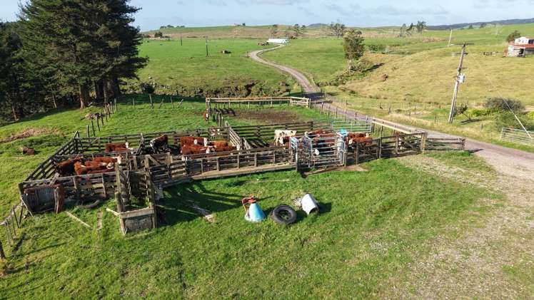 194 Toia Road Okaihau_5