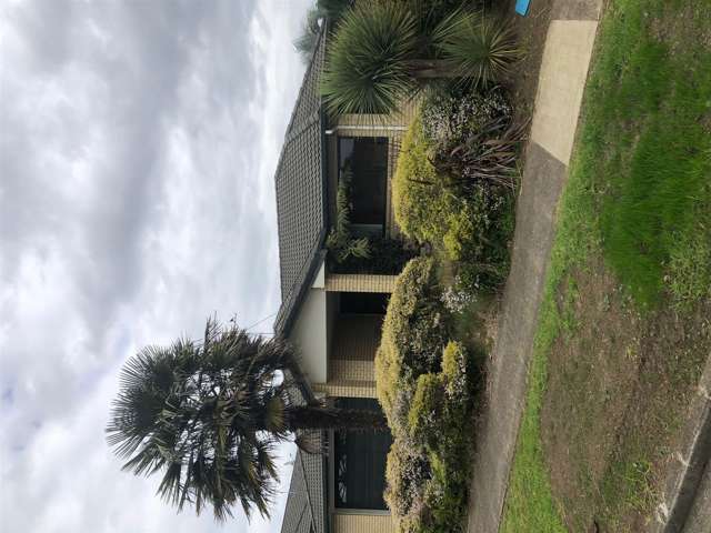 125 Wellington Street Pukekohe_1