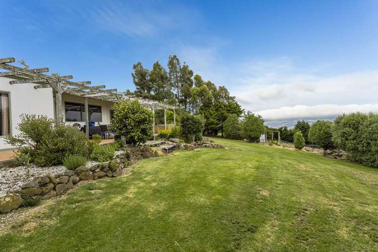 156 Halfway Bush Road Halfway Bush_12