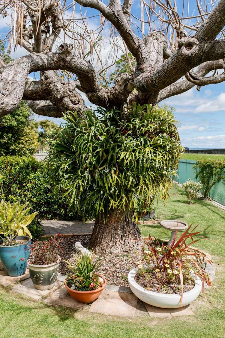 109 Landing Road Whakatane_46